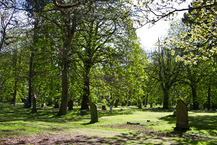 Middlesbrough (linthorpe) Cemetery - 1