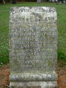The Stephenson / Wilson Family Headstones