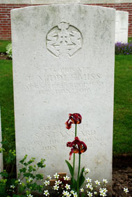 Private Stephen Stannard. 3/8323.