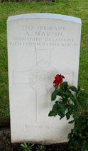 Serjeant Augustine Martin. 2215